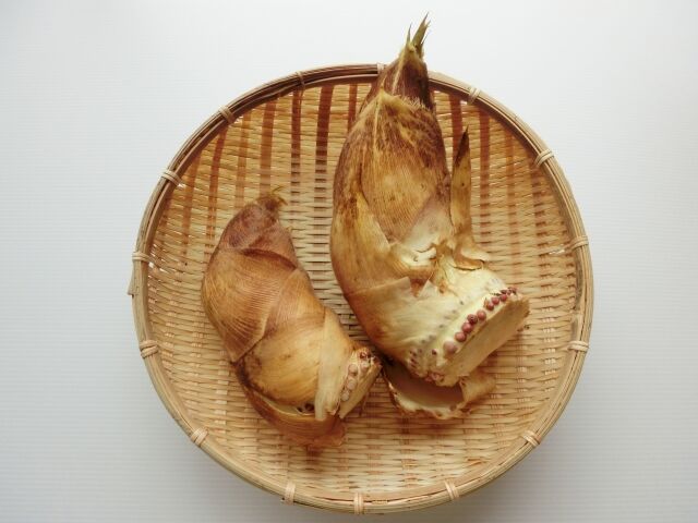 たけのこ